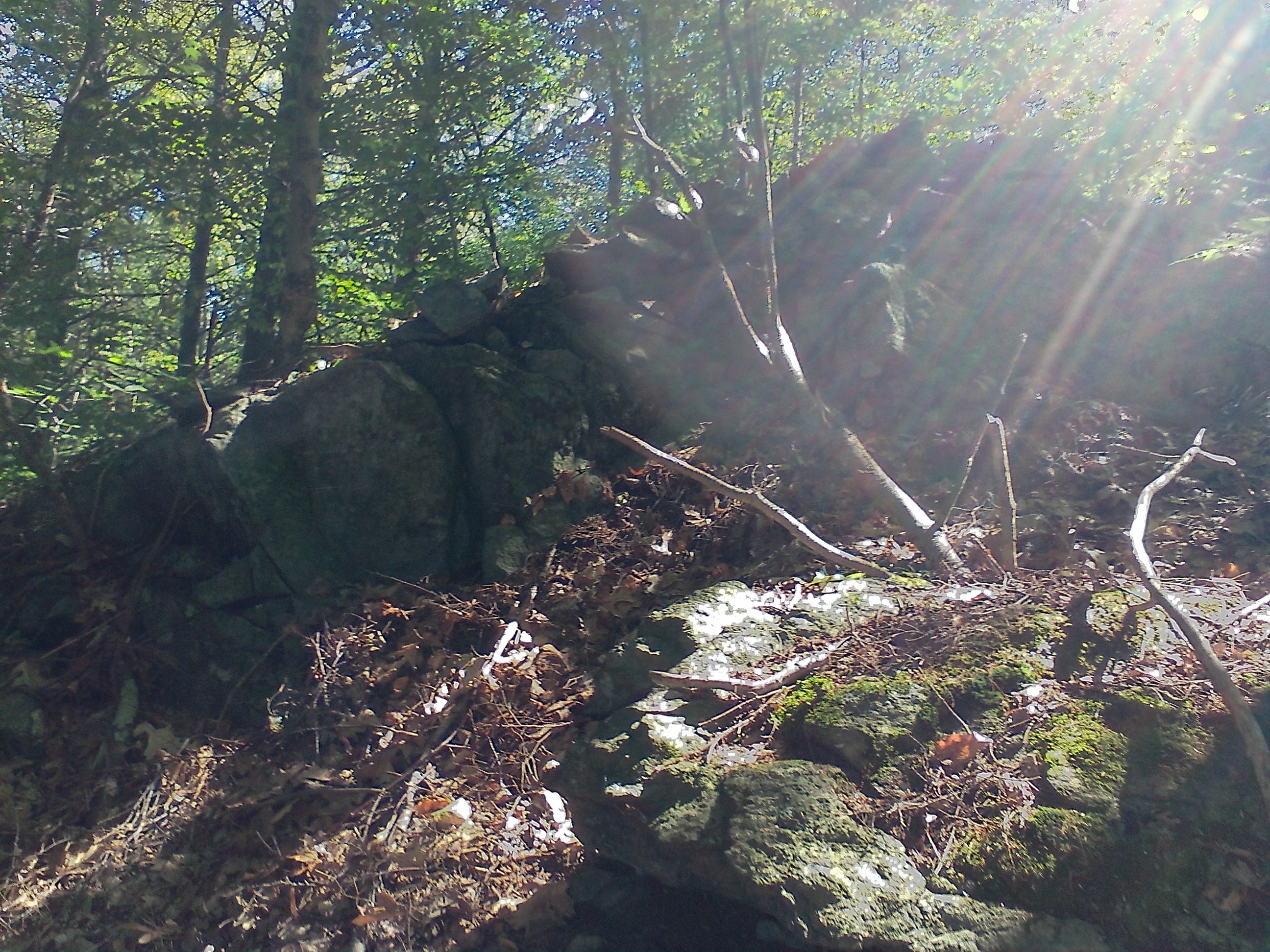 Ellis Ruley Property Hammond Rd - 3